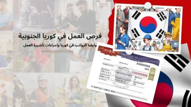 فرص العمل في كوريا الجنوبية 2024 تاشيرة العمل والرواتب في كوريا