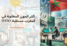 ما هي الوظائف المطلوبة في المغرب 2024 وأكثر المهن المطلوبة في المغرب مستقبلا 2030