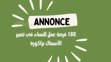 100 فرصة عمل في تصبير الأسماك بزاكورة