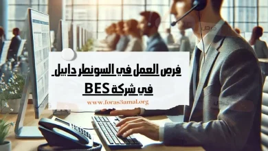 فرص العمل في السونطر دابيل بالمغرب 2024 في شركة BES