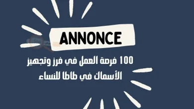 فرص عمل في المغرب للنساء 2024: العمل في فرز وتجهيز الأسماك في طاطا