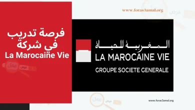 فرصة تدريب في شركة La Marocaine Vie