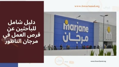 فرص العمل في مرجان الناظور: دليل شامل للباحثين عن وظائف شاغرة في المغرب 2024