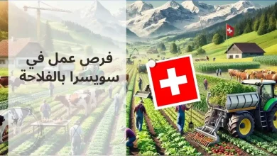 فرص عمل في سويسرا .. العمل في الفلاحة في سويسرا 2024