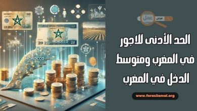 الحد الأدنى للاجور في المغرب ومتوسط الدخل في المغرب 2024