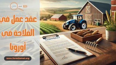 كيفية الحصول على عقد عمل في الفلاحة في أوروبا 2025