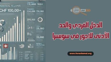 الدخل الفردي في سويسرا والحد الأدنى للاجور في سويسرا 2025