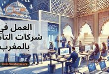 شروط العمل في شركات التأمين ورواتب موظفي شركات التأمين بالمغرب 2025