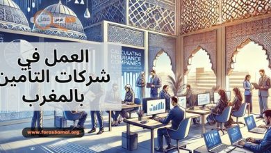 شروط العمل في شركات التأمين ورواتب موظفي شركات التأمين بالمغرب 2025
