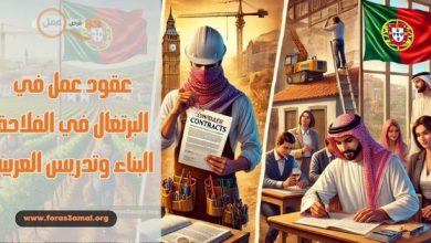 كيفية الحصول على عقود عمل في البرتغال في الفلاحة البناء وتدريس العربية 2025