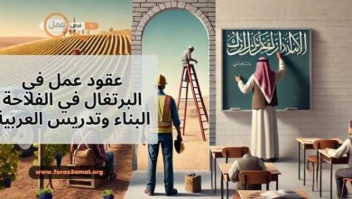 كيفية الحصول على عقود عمل في البرتغال في الفلاحة البناء وتدريس العربية 2025