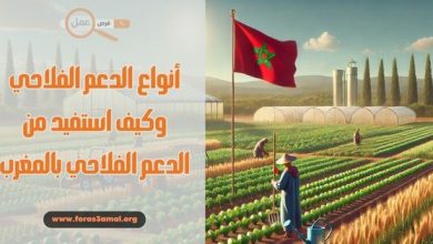 ما هي أنواع الدعم الفلاحي وكيف استفيد من الدعم الفلاحي بالمغرب 2025؟