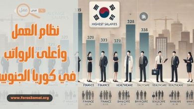نظام العمل في كوريا الجنوبية وأعلى الرواتب في كوريا الجنوبية