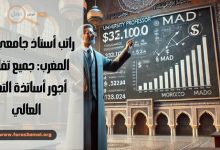 راتب أستاذ جامعي في المغرب 2025 جميع تفاصيل أجور أساتذة التعليم العالي