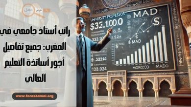 راتب أستاذ جامعي في المغرب 2025 جميع تفاصيل أجور أساتذة التعليم العالي