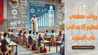 رواتب معلمي التعليم الابتدائي في المغرب حسب السلم 2025