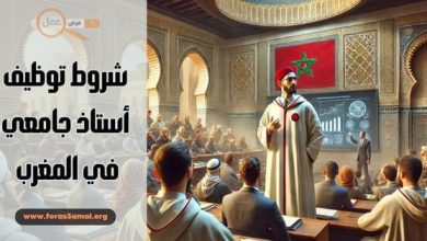 كيف تصبح أستاذ جامعي في المغرب؟ (شروط توظيف أستاذ جامعي 2025)