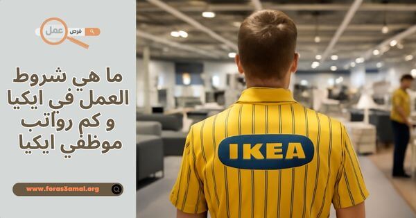 ما هي شروط العمل في ايكيا و كم رواتب موظفي ايكيا 2025