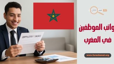 رواتب الموظفين في المغرب 2025 بأهم وكالات الخدمات (مثل رواتب ONEP وONCF..)