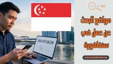 طرق و مواقع البحث عن عمل في سنغافورة 2025