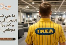ما هي شروط العمل في ايكيا و كم رواتب موظفي ايكيا 2025