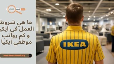 ما هي شروط العمل في ايكيا و كم رواتب موظفي ايكيا 2025