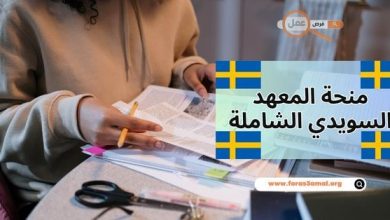 منحة السويد 2025، منحة المعهد السويدي الشاملة لسنة 2025/2026