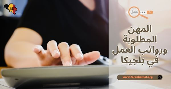ما هي رواتب العمل في بلجيكا 2025.. المهن المطلوبة في بلجيكا