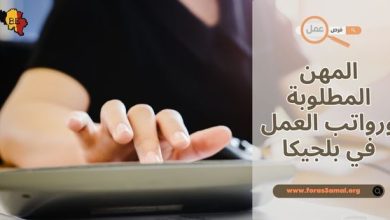 ما هي رواتب العمل في بلجيكا 2025.. المهن المطلوبة في بلجيكا