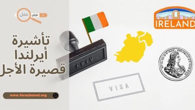 تأشيرة أيرلندا قصيرة الأجل 2025.. طريقة استخراج فيزا أيرلندا