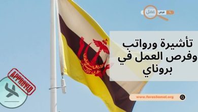 دليل تأشيرة ورواتب وفرص العمل في بروناي 2025