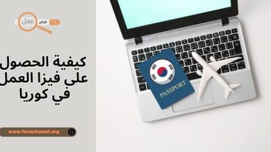 فرص العمل في كوريا الجنوبية 2025، وكيفية الحصول على فيزا العمل في كوريا