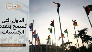كم عدد الجنسيات التي يمكن الحصول عليها وما هي الدول التي تسمح بتعدد الجنسيات 2025