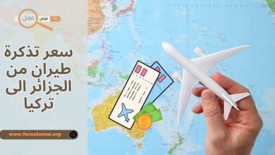 سعر تذكرة طيران من الجزائر الى تركيا 2025 بالدينار الجزائري