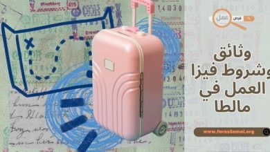 العمل في أرمينيا 2025 الرواتب، وطريقة الحصول على فيزا عمل في ارمينيا