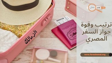 ترتيب وقوة جواز السفر المصري 2025 وكم دولة بدون تأشيرة للمصريين