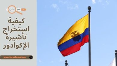 كيفية استخراج تأشيرة الإكوادور 2025 الوثائق، والشروط