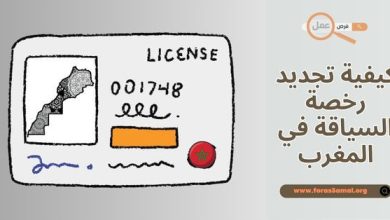 كيفية تجديد رخصة السياقة في المغرب 2025 (الوثائق والإجراءات المطلوبة)