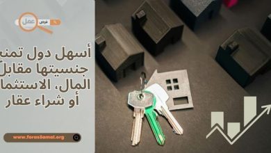 ما هي أسهل دول تمنح جنسيتها مقابل المال 2025، الاستثمار أو شراء عقار؟