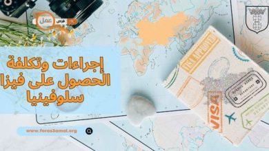 ما هي إجراءات وتكلفة الحصول على فيزا سلوفينيا 2025؟