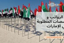 ما هي التخصصات المطلوبة في الإمارات 2025 + الرواتب وطريقة التقديم اليها؟