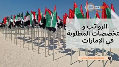 ما هي التخصصات المطلوبة في الإمارات 2025 + الرواتب وطريقة التقديم اليها؟