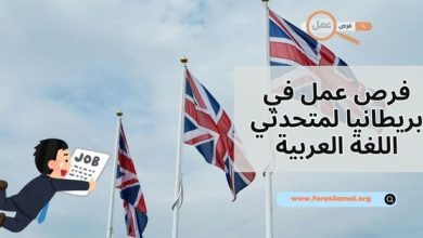 هل توجد فرص عمل في بريطانيا لمتحدثي اللغة العربية 2025؟