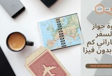 قوة جواز السفر الإماراتي 2025 كم دولة بدون فيزا
