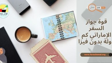 قوة جواز السفر الإماراتي 2025 كم دولة بدون فيزا