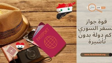 قوة جواز السفر السوري 2025 وكم دولة بدون تأشيرة؟