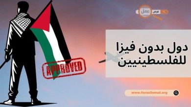 كيف تعرف دول بدون فيزا للفلسطينيين 2025؟