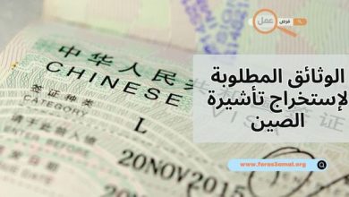 ما هي الوثائق المطلوبة لإستخراج تأشيرة الصين 2025 بكل أنواعها؟