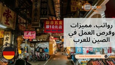 ما هي رواتب، مميزات وفرص العمل في الصين للعرب 2025؟