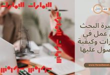 اجراءات تأشيرة البحث عن عمل في الإمارات 2025 وكيفية الحصول عليها